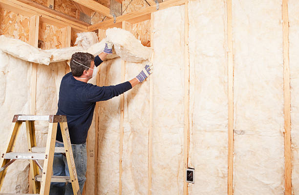 Best Eco-Friendly or Green Insulation Solutions in Bellmawr, NJ